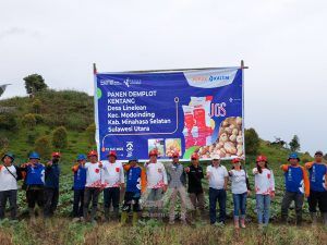 Gunakan NPK Pelangi JOS, Hasil Kentang Modoinding Minahasa Selatan Naik 55 Persen