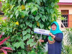 Berawal dari CSR PKT, Asma Bisa Umrah dan Raup Puluhan Juta per Bulan