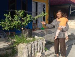 Ciptakan Lingkungan Asri, Program Stimulan di RT 34 Tanjung Laut Tanam Pohon di Pekarangan Rumah