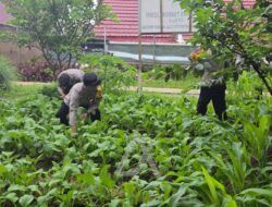 Dukung Ketahanan Pangan, Kapolsek Bontang Selatan Sulap Lahan Kosong Jadi Kebun