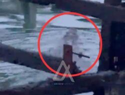 Buaya Muncul saat Banjir Rob di Bontang Kuala