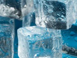 Viral TKW Asal Jember Ditemukan di Peti Es dalam Kondisi Hidup, Ternyata Fiktif