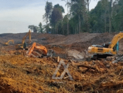 Penambang Liar di Samarinda Rusak Hutan Unmul Seluas 3,2 Hektare