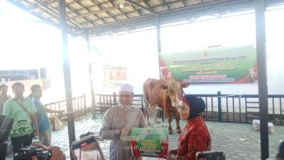 Wali Kota Neni Serahkan Sapi Kurban Bantuan Presiden Prabowo