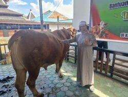 Sapi Kurban Bantuan Presiden Prabowo untuk Bontang Disembelih H+1 Iduladha, Target Penerima 250 KK
