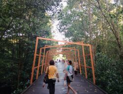 Menikmati Libur Panjang di Mangrove Berbas Pantai