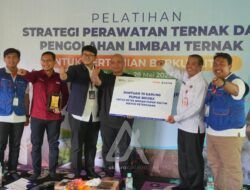 Pupuk Kaltim Edukasi Peternak Lokal soal Perawatan dan Pengolahan Limbah Ternak