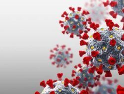 Dinkes Kaltim Temukan Dua Orang Terindikasi Covid-19 dari Swab Antigen