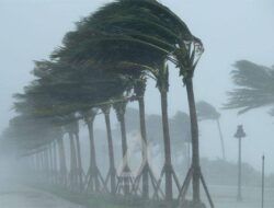 Kaltim Diprediksi Alami Hujan Disertai Angin Kencang hingga 20 Juli