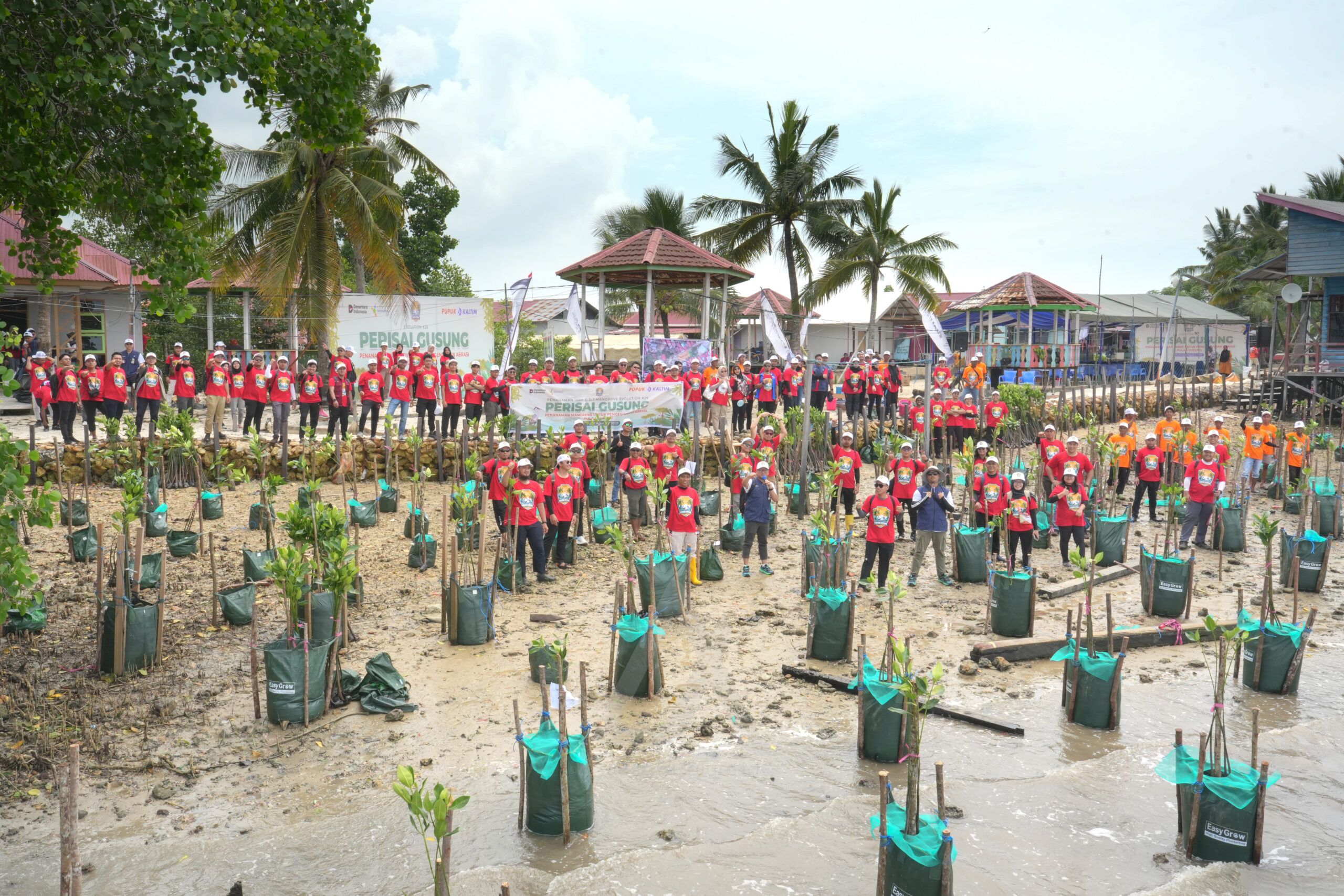 Suasaba saat penanaman pohon mnagrove. (Istimewa).