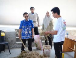 Pendampingan PKT BERSERI, Pupuk Kaltim Perkuat Kapasitas Peternak Bulutana Gowa