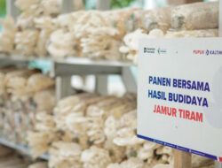 Pupuk Kaltim Dorong Nilai Tambah Berbasis Ekonomi Sirkular Lewat Jamur Tiram