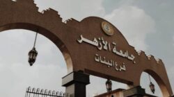 Kaltim Buka Peluang Kuliah Gratis ke Al-Azhar Mesir, Mahasiswa Dapat Rp13 Juta per Tahun